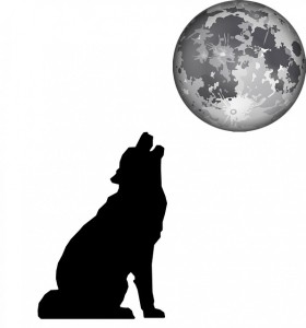 月と犬silhouette-313661_640