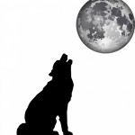 月と犬silhouette-313661_640