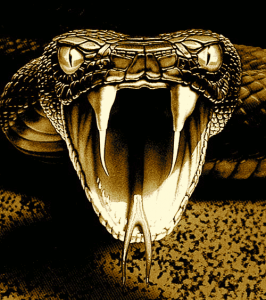viper_snake