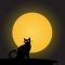 moon cat images